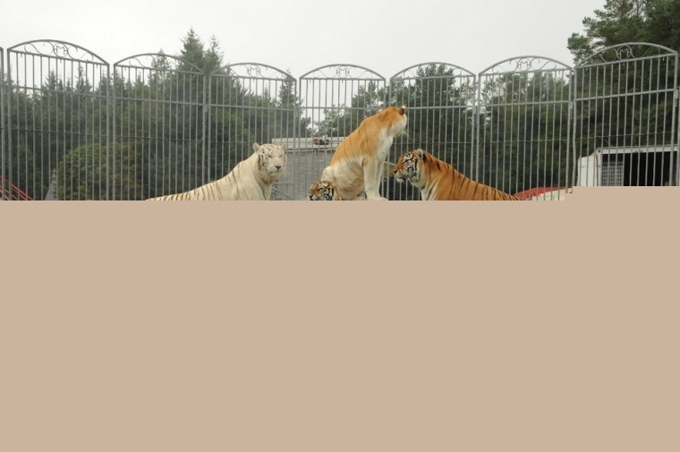 banner_cover_10