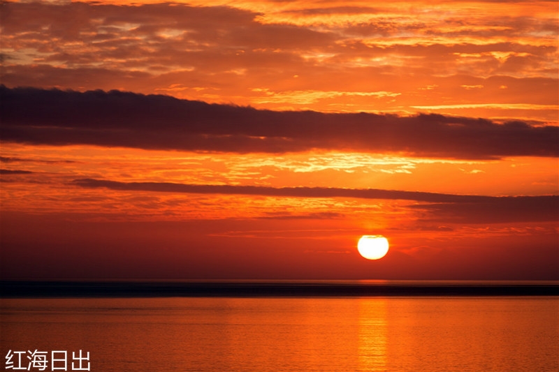 banner_cover_3