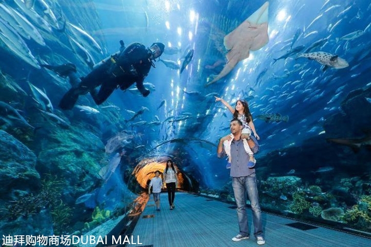 banner_cover_3