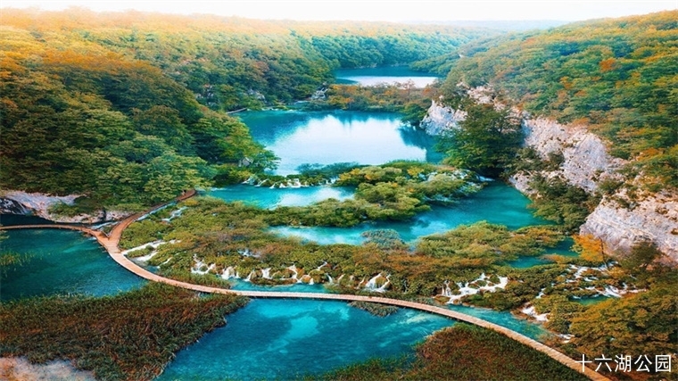 banner_cover_2