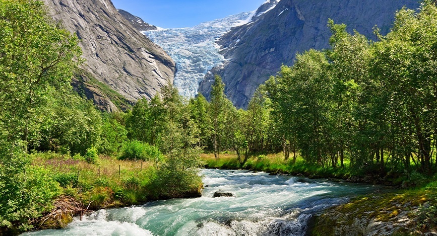 banner_cover_5