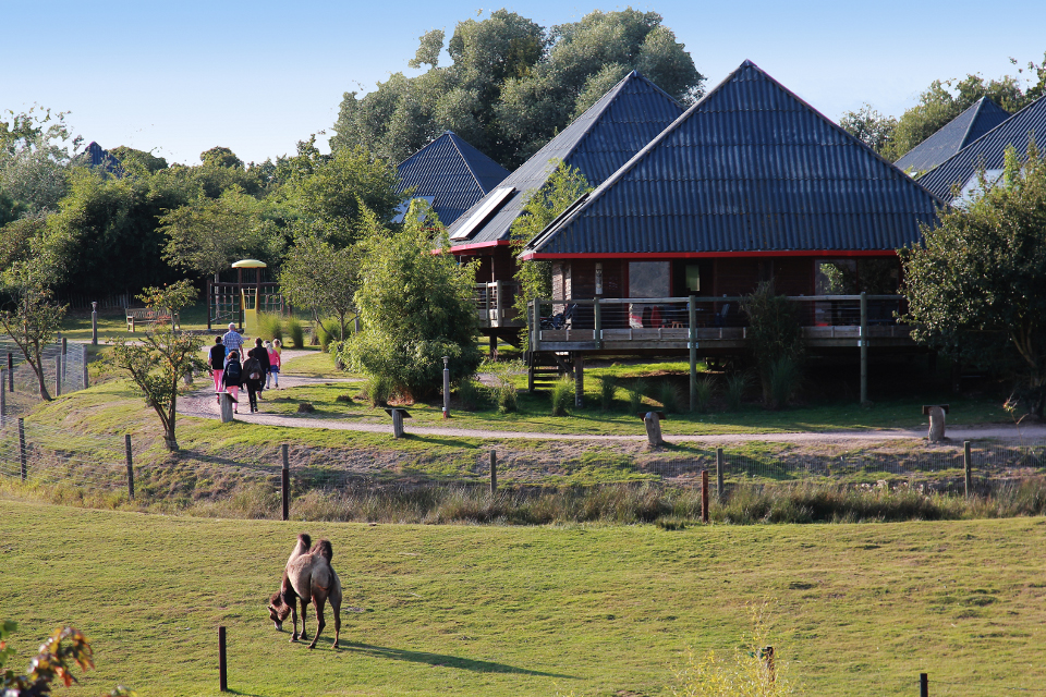 lodges4.jpg
