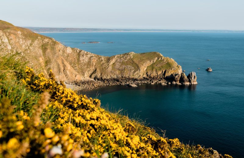 Nez de Jobourg - LA HAGUE | Tourisme en Cotentin