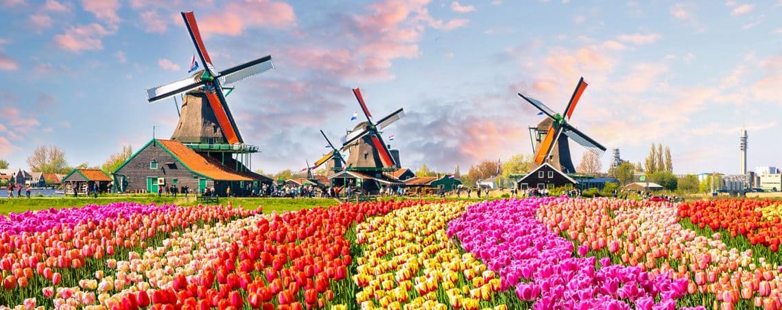 1770127310355257.jpg