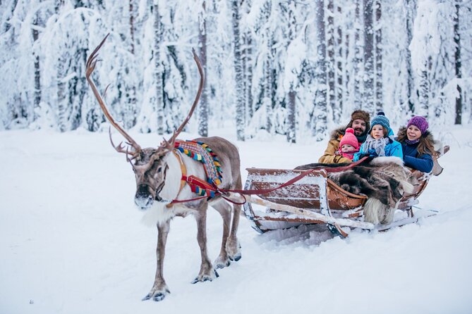 Tripadvisor | 罗瓦涅米的驯鹿雪橇和农场体验| 芬兰